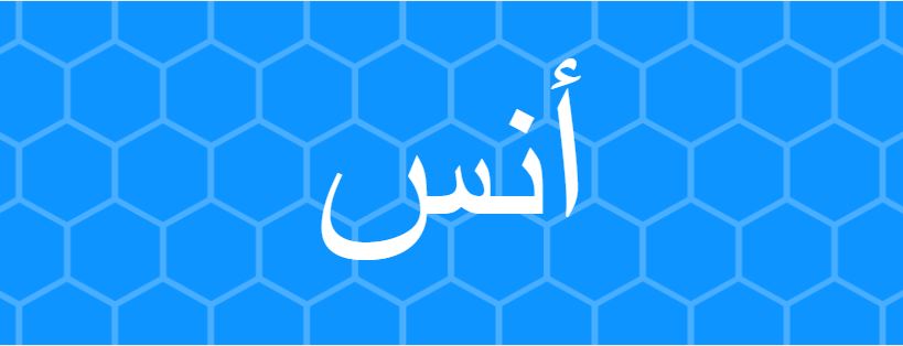 اسم أنس