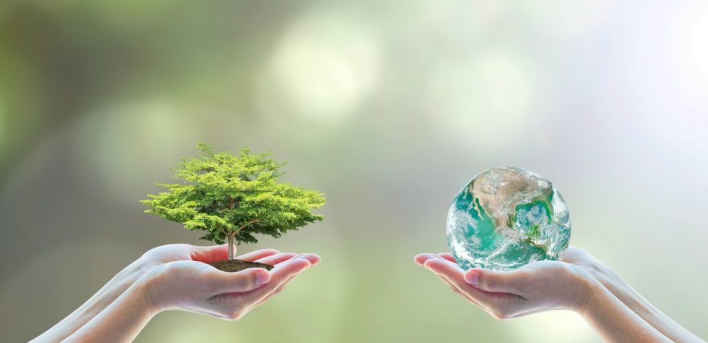 7 خيارات تمكنك من الحفاظ على البيئة دون عناء
