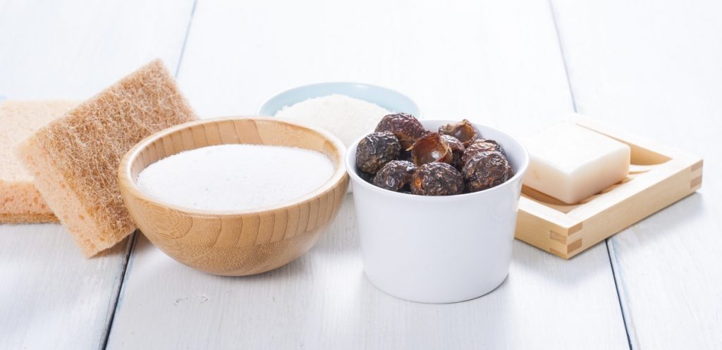 Soapberry, What’s It All About?