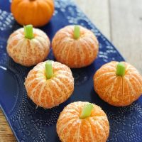 satsuma pumpkins satsuma pumpkins
