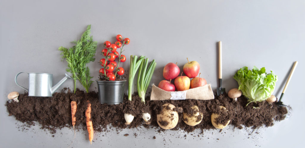 Mums are Asking: Why Choose Organic?