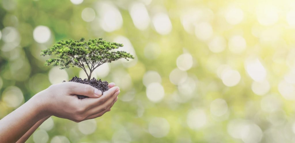 Fun and easy ideas for a better planet