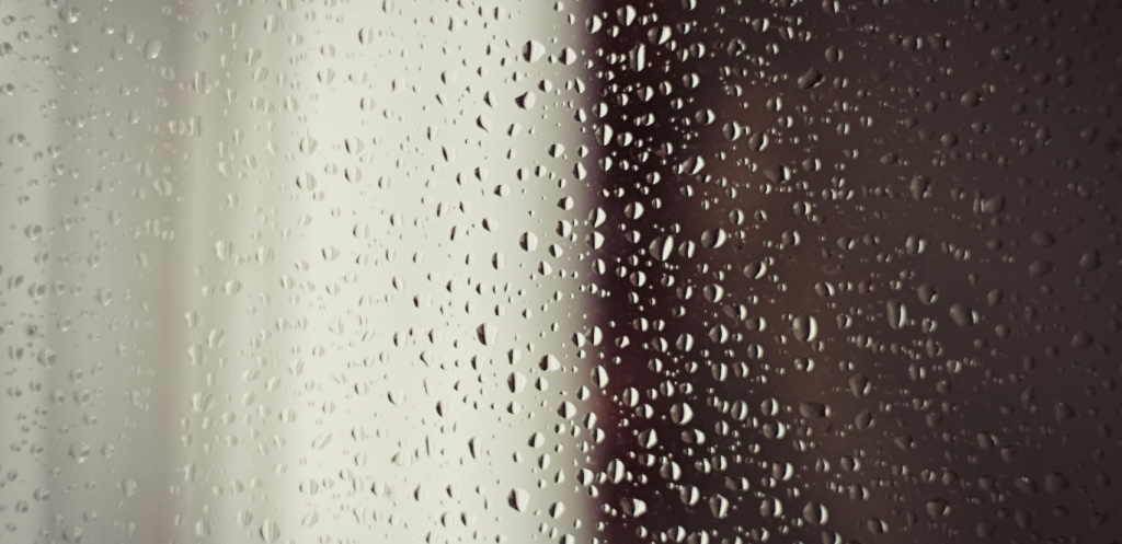 The Key Steps You Can’t Skip After Heavy Rains